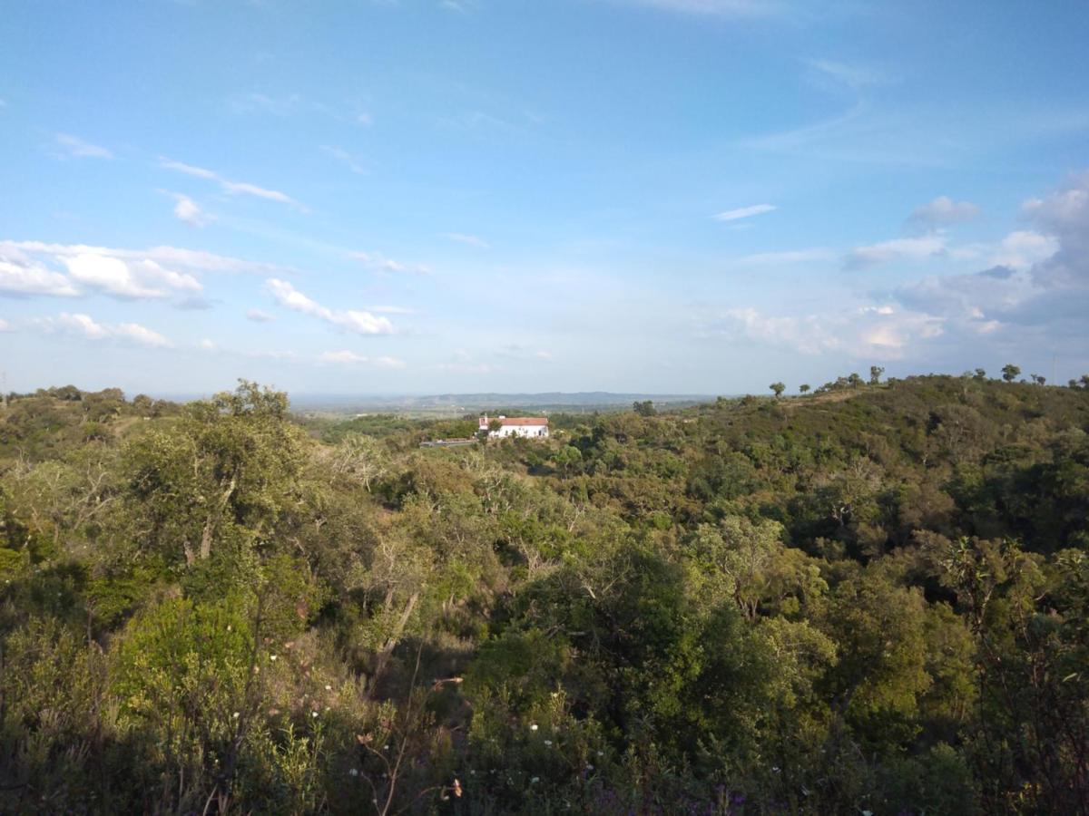 The One - Country House Grândola Dış mekan fotoğraf
